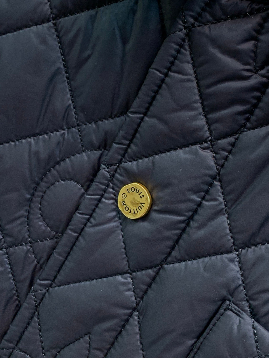 Louis Vuitton Men's Winter 2026 Casual Collared Padded Jacket