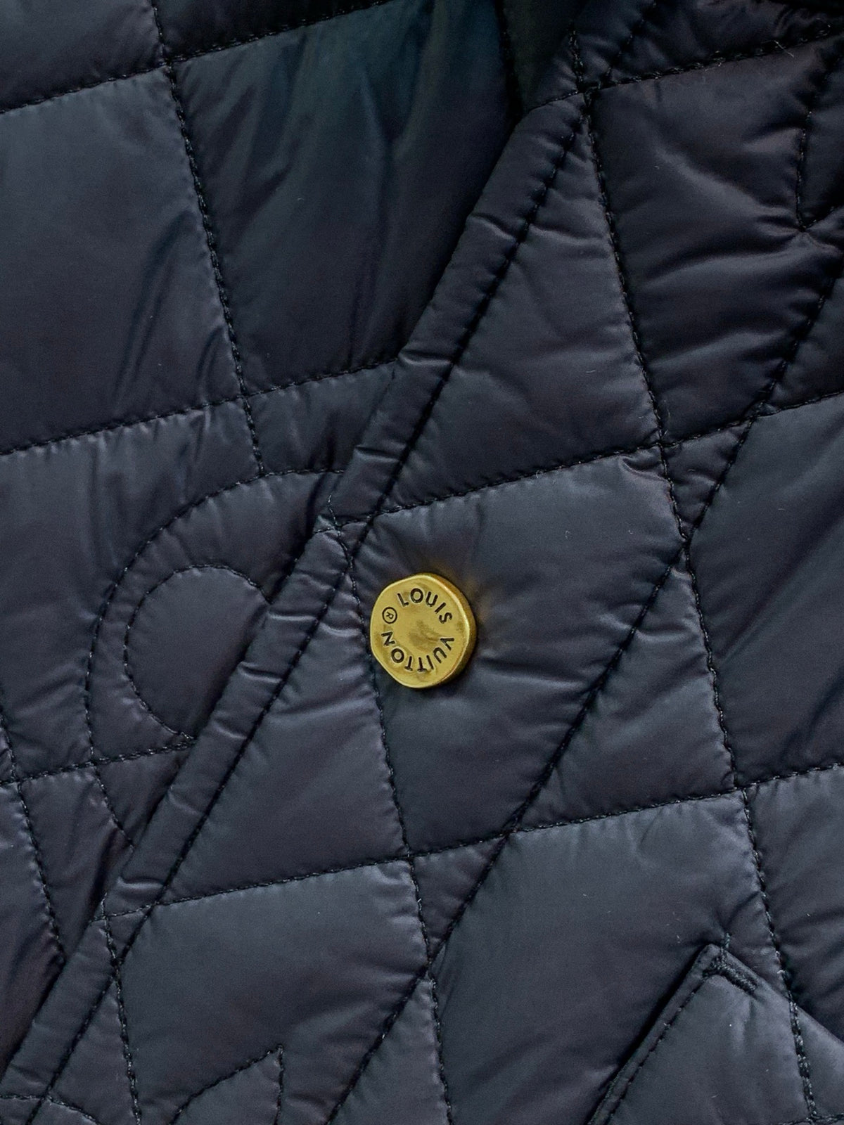 Louis Vuitton Men's Winter 2026 Casual Collared Padded Jacket
